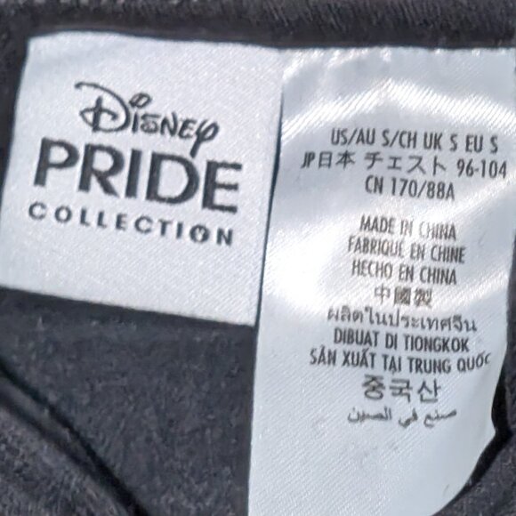 NWT Disney Pride Collection Disneyland Resort Unisex Adult Hoodie Size S - Picture 4 of 4